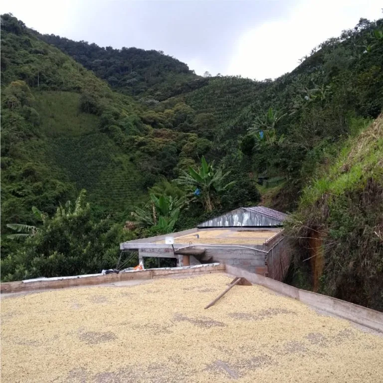 FotografíasCafeCangrejo2050_1