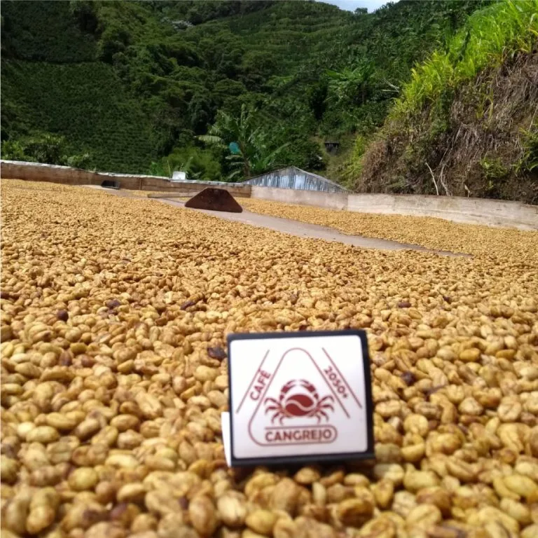 FotografíasCafeCangrejo2050_3