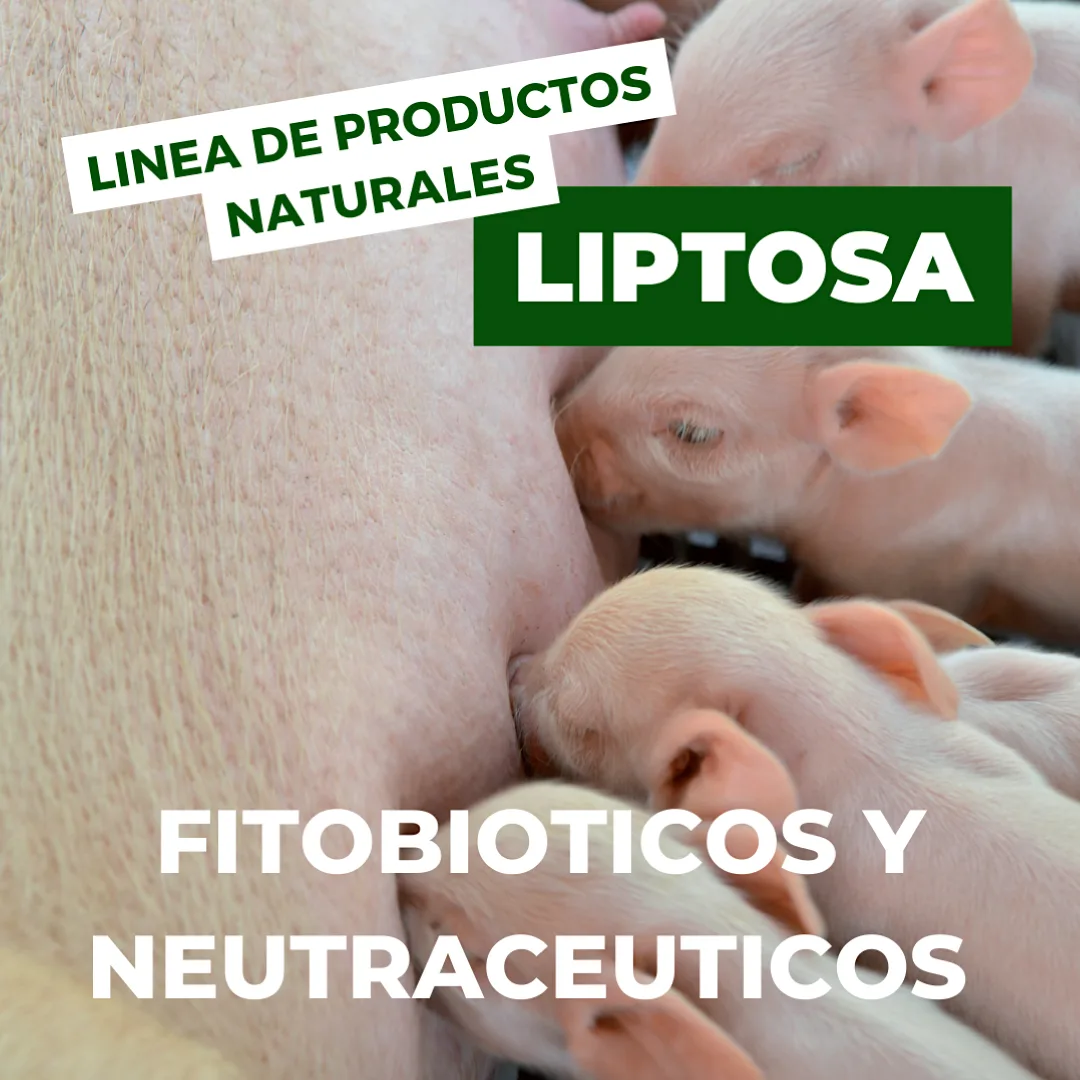 FotosZootecniaDelCampo_02