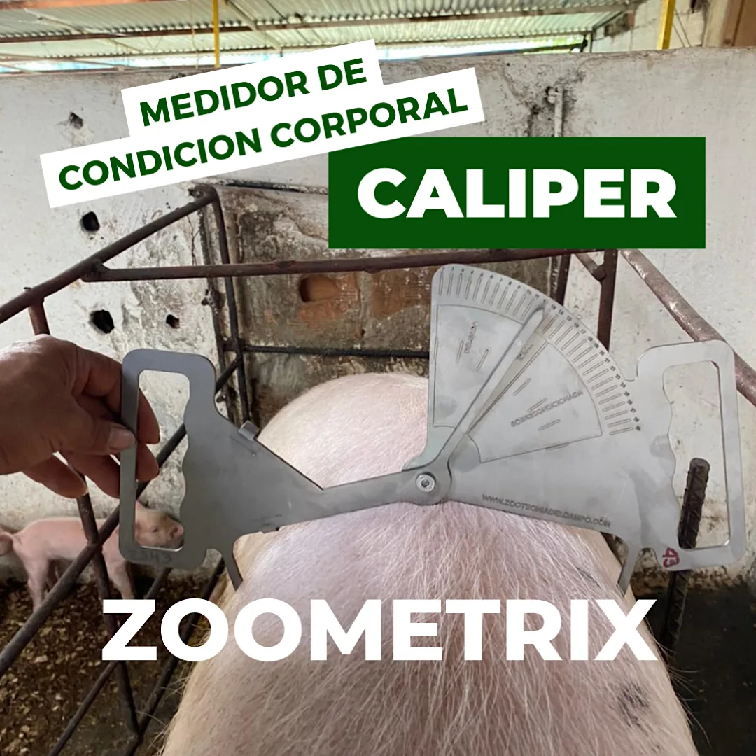 FotosZootecniaDelCampo_04