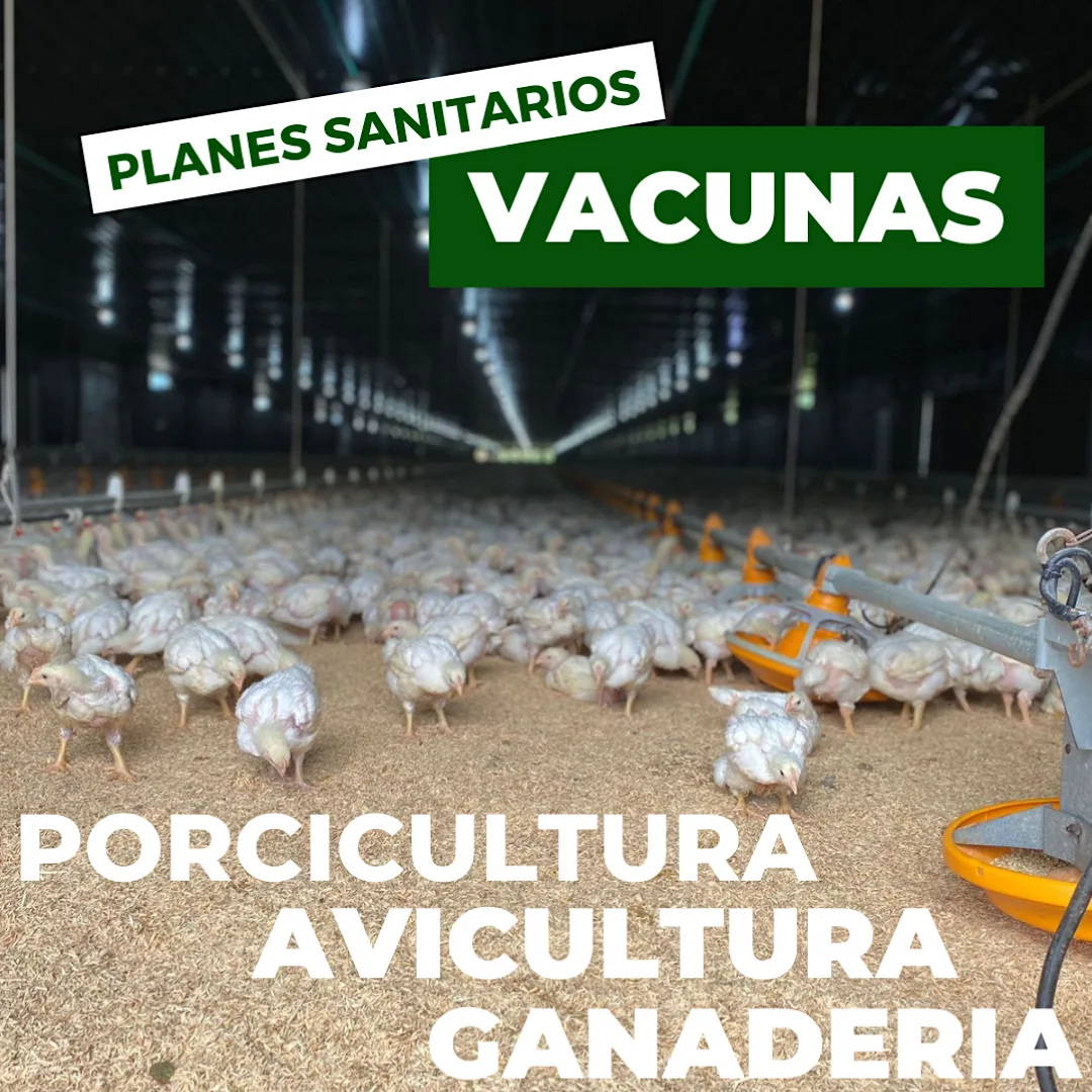 FotosZootecniaDelCampo_06